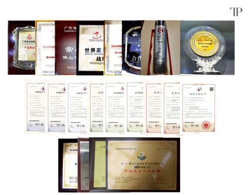 緹派多功能智能衛(wèi)浴工程技術研究中心榮獲市級認定，引領技術咨詢新篇章